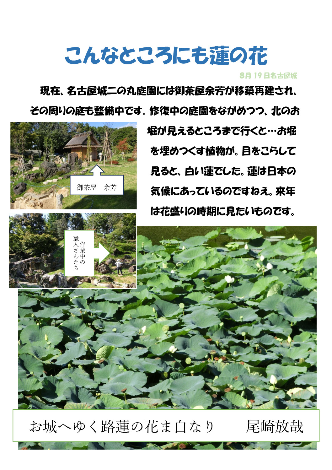 こんなところにも蓮の花のサムネイル