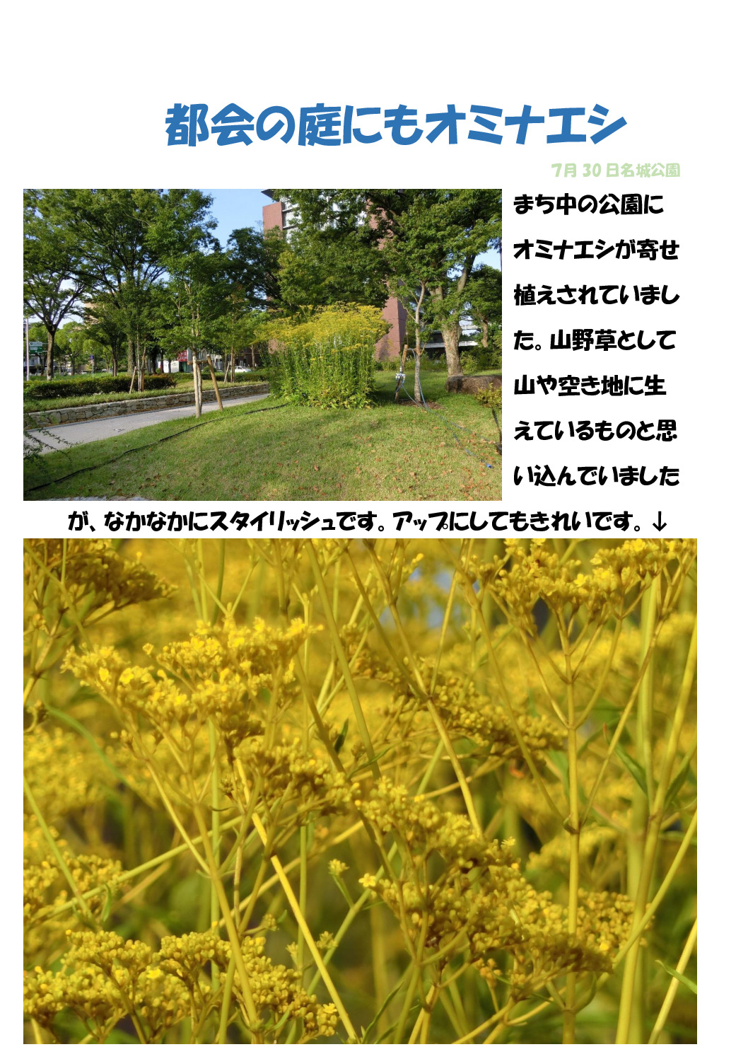 オミナエしのサムネイル