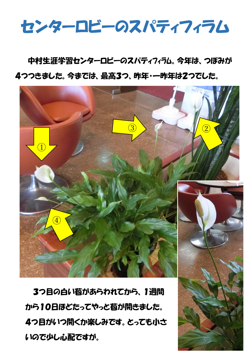 スパてィﾌｨﾗﾑのサムネイル