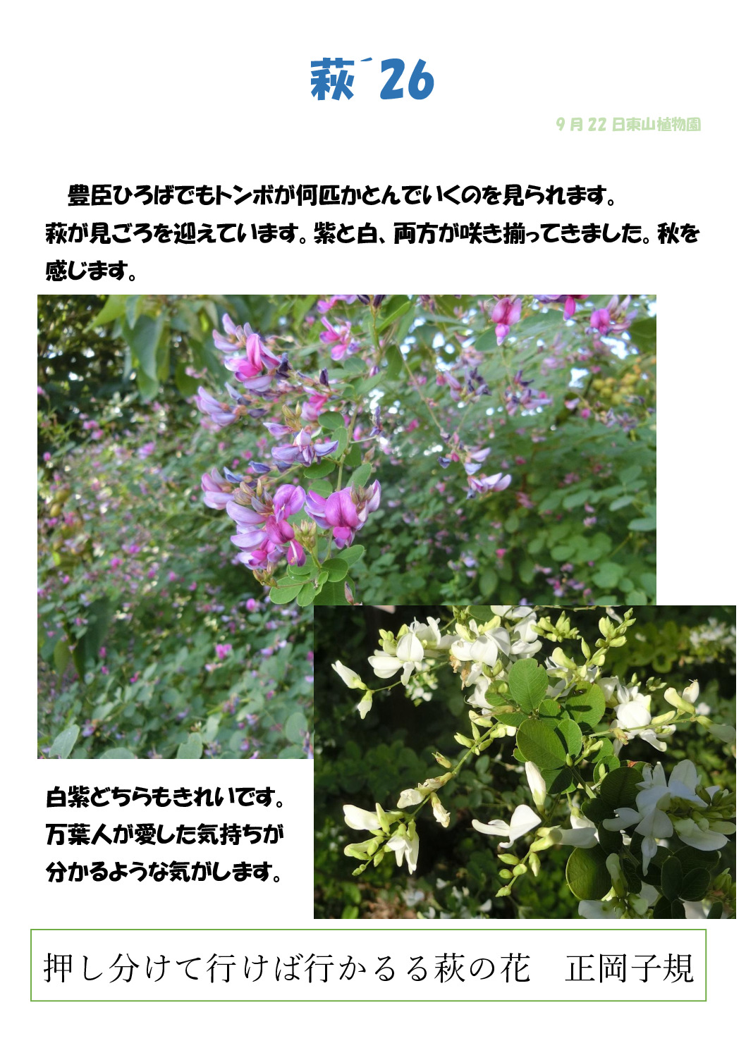 萩２６のサムネイル