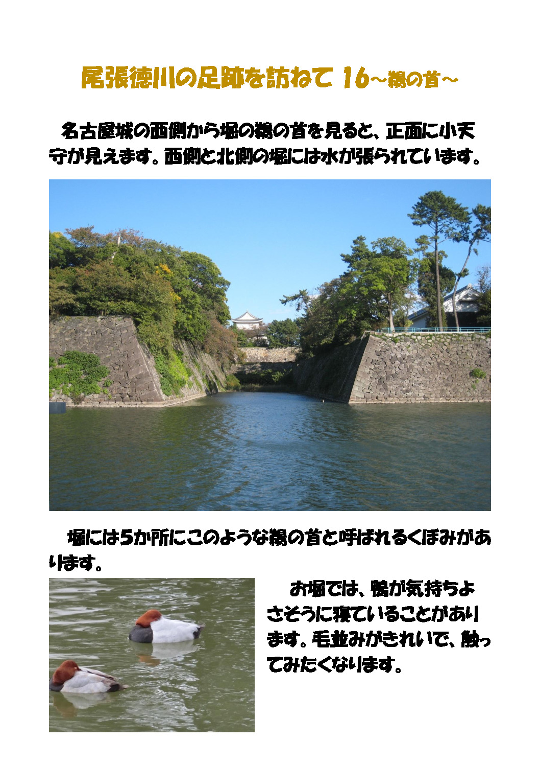 尾張徳　川 – 16のサムネイル