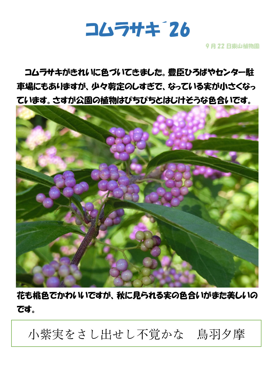 小紫２６のサムネイル